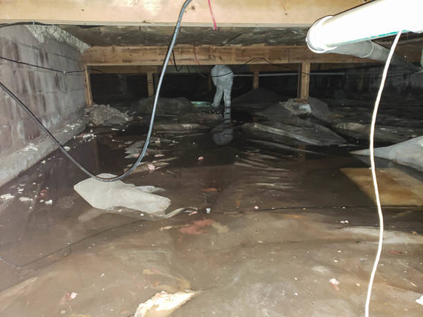 Trusted Water Damage Restoration in Stockton, UT | Fast, Reliable, and Ready to Assist You